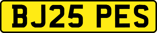 BJ25PES