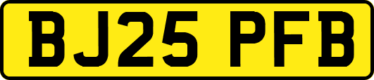 BJ25PFB
