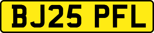 BJ25PFL