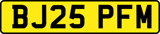 BJ25PFM