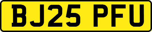 BJ25PFU