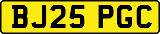 BJ25PGC