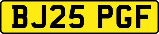 BJ25PGF