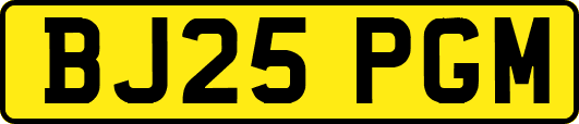 BJ25PGM