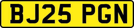 BJ25PGN