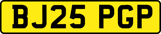 BJ25PGP