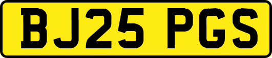 BJ25PGS