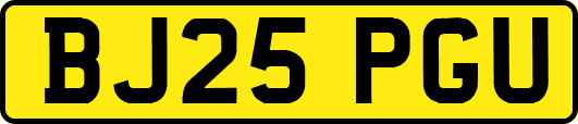BJ25PGU
