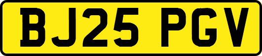 BJ25PGV