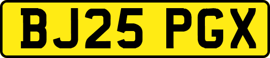 BJ25PGX