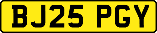 BJ25PGY