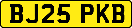 BJ25PKB