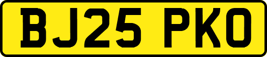 BJ25PKO