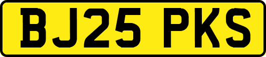 BJ25PKS