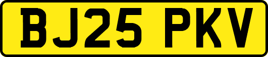 BJ25PKV