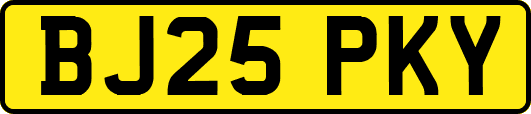 BJ25PKY