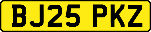 BJ25PKZ