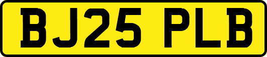 BJ25PLB