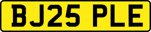 BJ25PLE