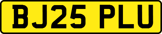 BJ25PLU