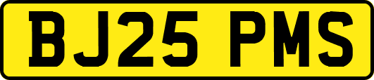 BJ25PMS
