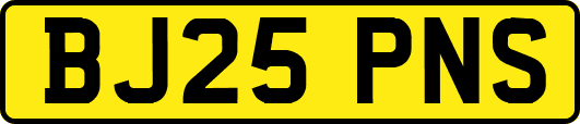 BJ25PNS