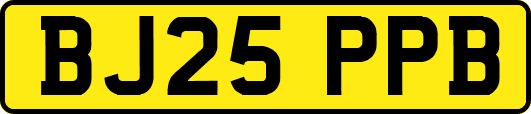 BJ25PPB