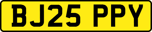 BJ25PPY