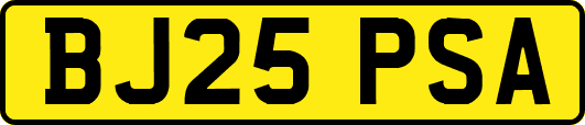 BJ25PSA