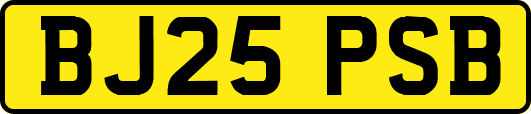 BJ25PSB