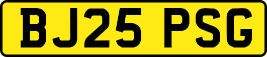BJ25PSG