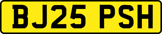 BJ25PSH