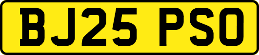 BJ25PSO