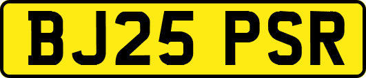 BJ25PSR