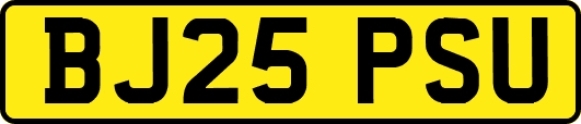 BJ25PSU