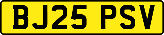 BJ25PSV