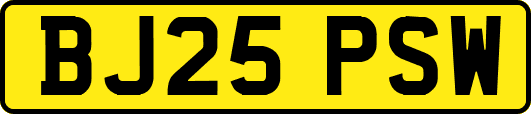 BJ25PSW