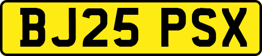 BJ25PSX