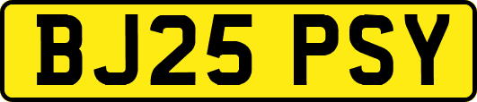 BJ25PSY