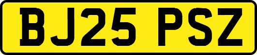 BJ25PSZ