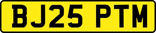 BJ25PTM