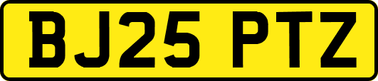 BJ25PTZ