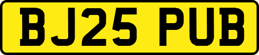 BJ25PUB