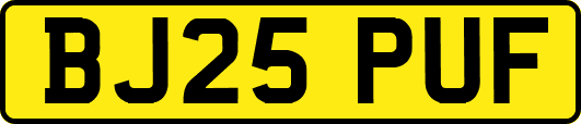BJ25PUF