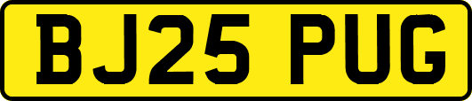 BJ25PUG