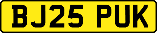 BJ25PUK