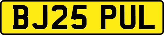 BJ25PUL