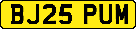 BJ25PUM