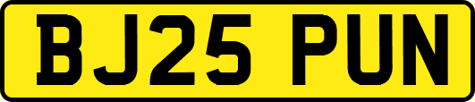 BJ25PUN