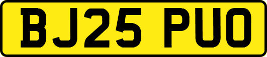 BJ25PUO